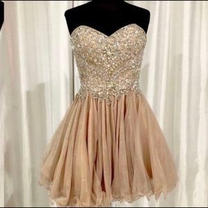 Terani couture dress